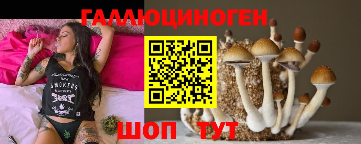 хочу   Вход с VPN  Бугульма  Галлюциногенные грибы Psilocybine cubensis 